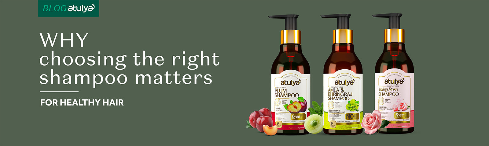 Top Natural Ingredients to Look for in a Shampoo