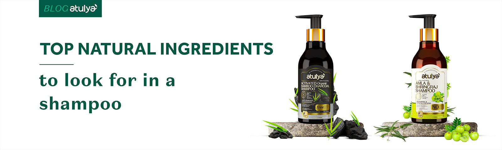 Top Natural Ingredients to Look for in a Shampoo