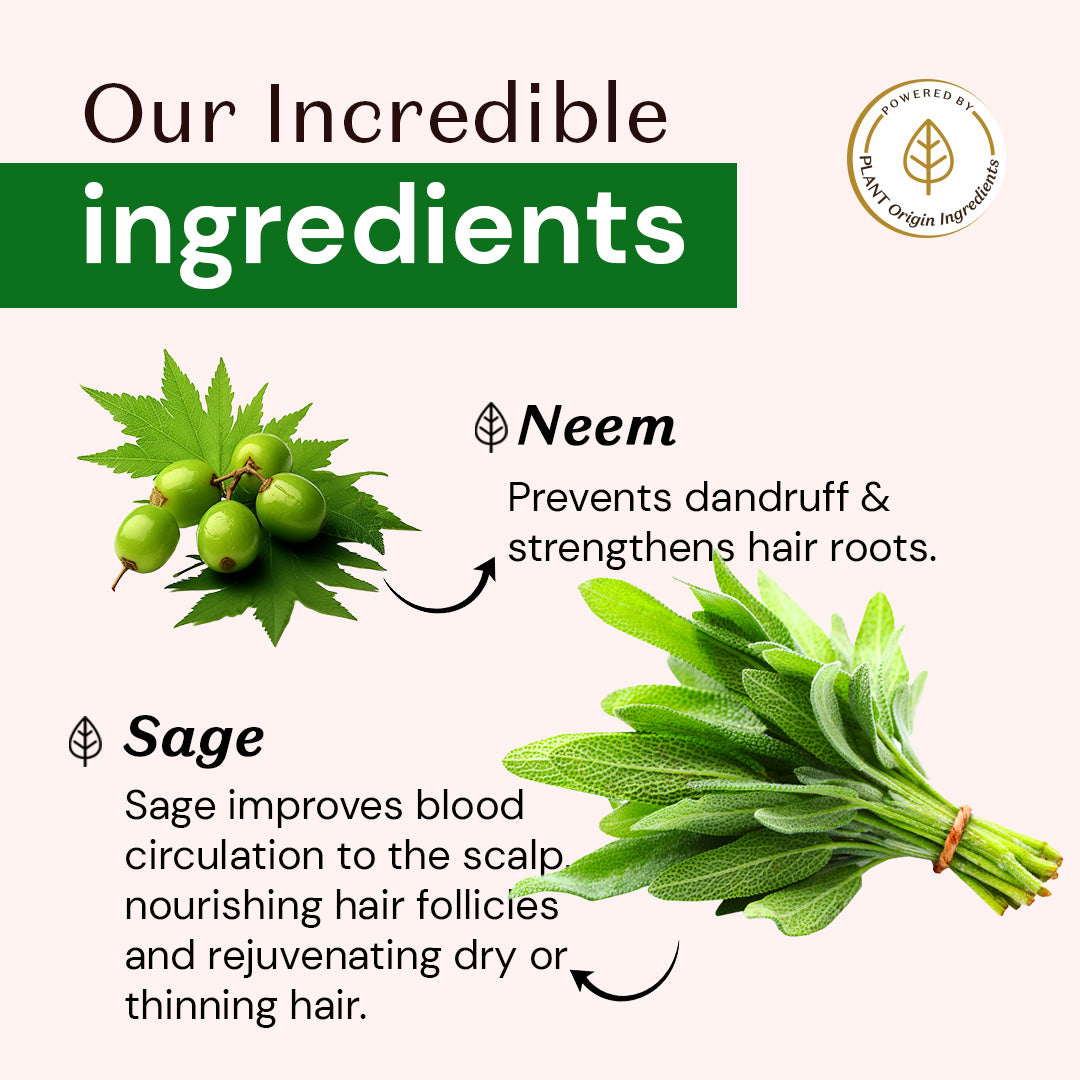 Atulya Neem & Sage Shampoo | Anti-dandruff and Anti-fungal - 300ml