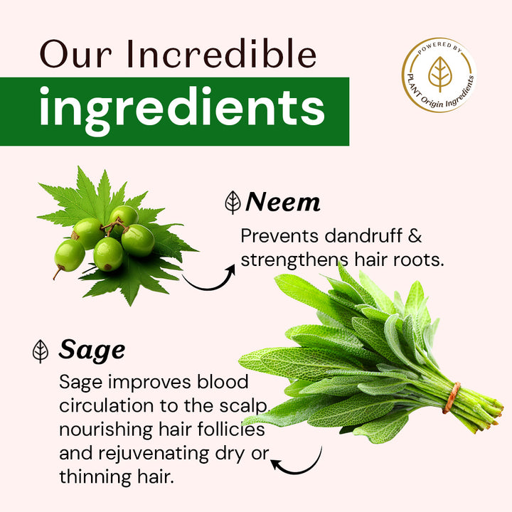 Atulya Neem & Sage Shampoo | Anti-dandruff and Anti-fungal - 300ml