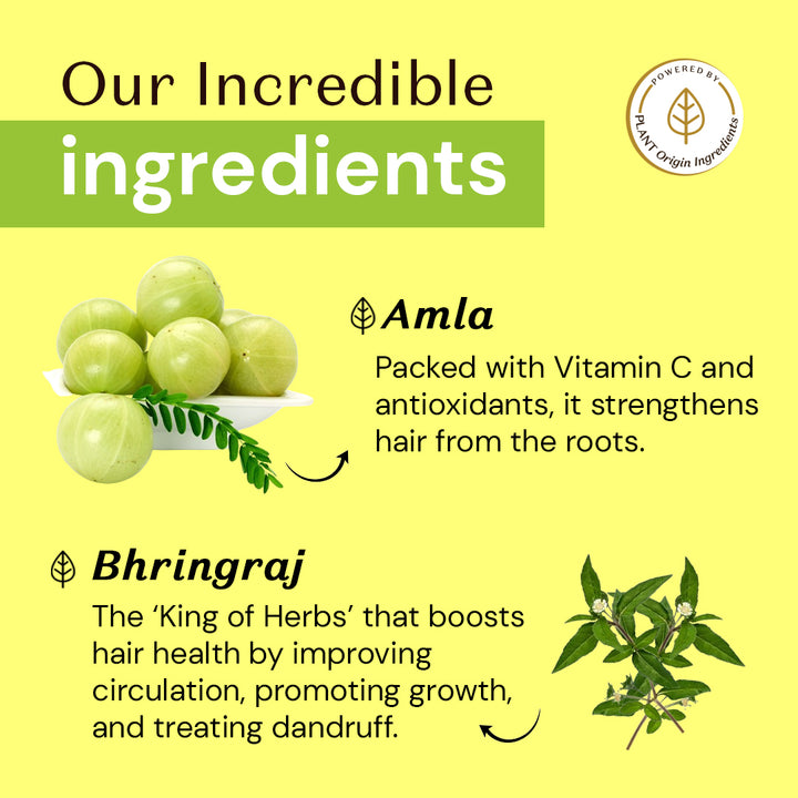 Atulya Amla & Bhringraj Conditioner for Damage-free Hair - 300ml