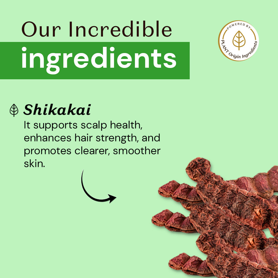 Atulya Shikakai Organic Powder - 100 % Pure & Natural - 100gm