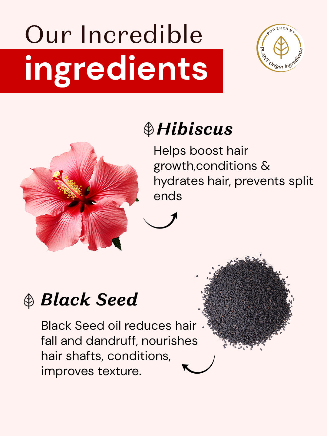 Atulya Hibiscus & Black Seed Hair Shampoo for Frizz Control - 300ml