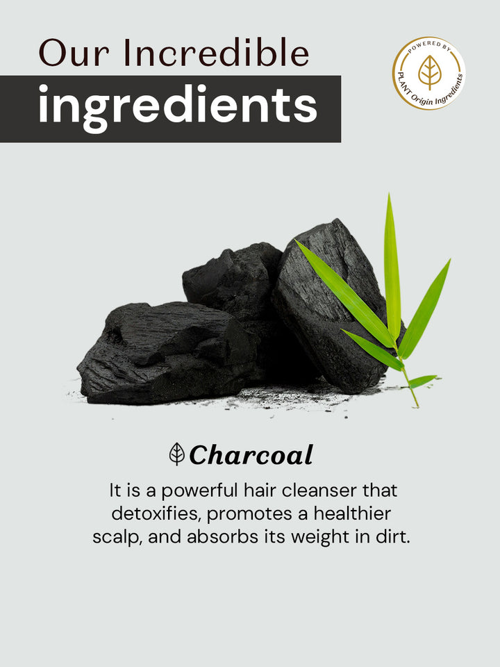 Atulya Activated Bamboo Charcoal Shampoo | Anti-damage and Cleansing - 300ml