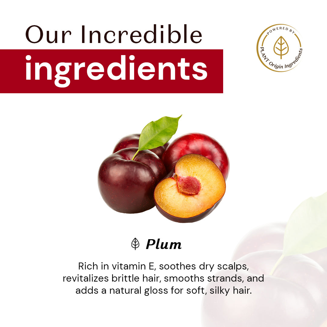 Atulya Plum Conditioner | For Damaged Hair - 300ml