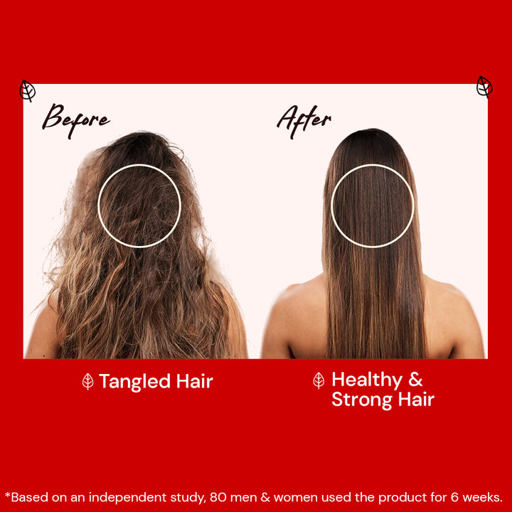 Atulya Hibiscus & Black Seed Hair Conditioner |Hair Softener - 300ml