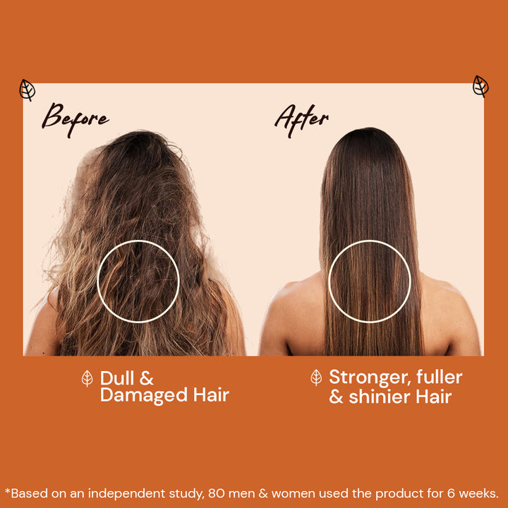 Atulya Moroccan Argan Oil Hair Conditioner | Hiar Strengthening - 300ml