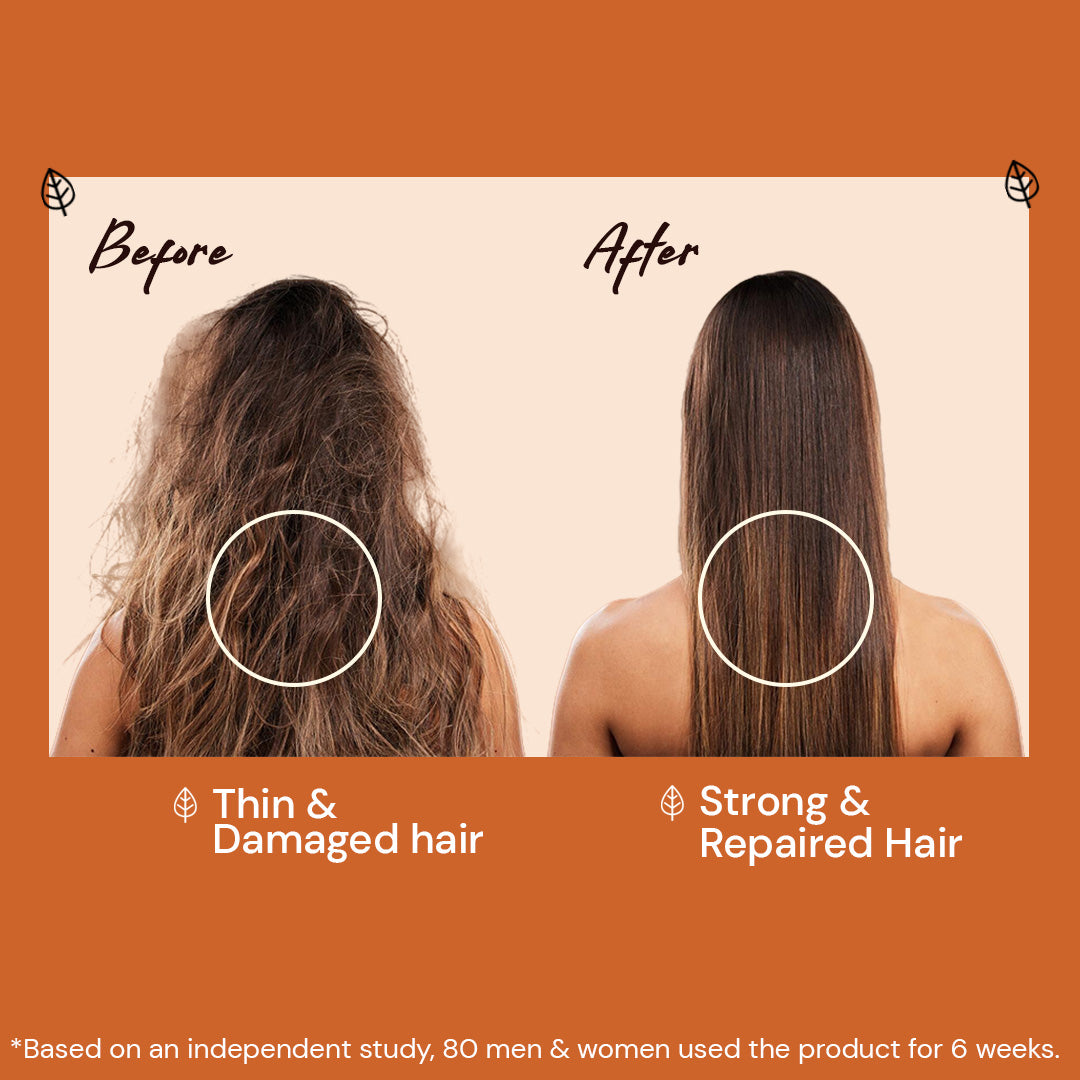 Atulya Moroccan Argan Oil Shampoo | Repairs Hair - 300ml