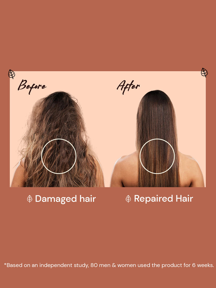 Atulya Ultra Shea Shampoo | For Long-lasting Nourishment- 300ml