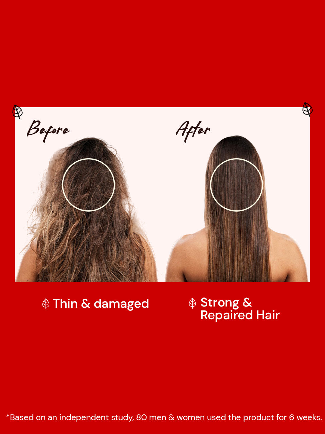 Atulya Hibiscus & Black Seed Hair Shampoo for Frizz Control - 300ml