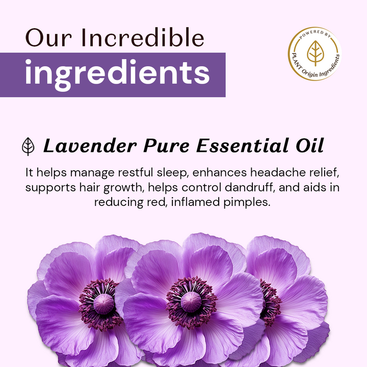 Atulya 100% Natural Lavender Pure Essential Oil - 15ml