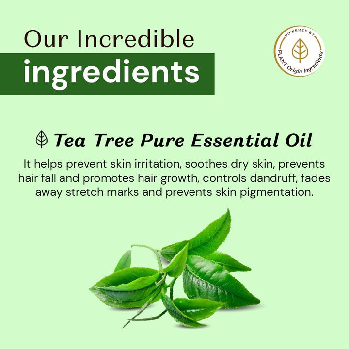 Atulya 100% Natural Tea Tree Pure Essential Oil - 15ml