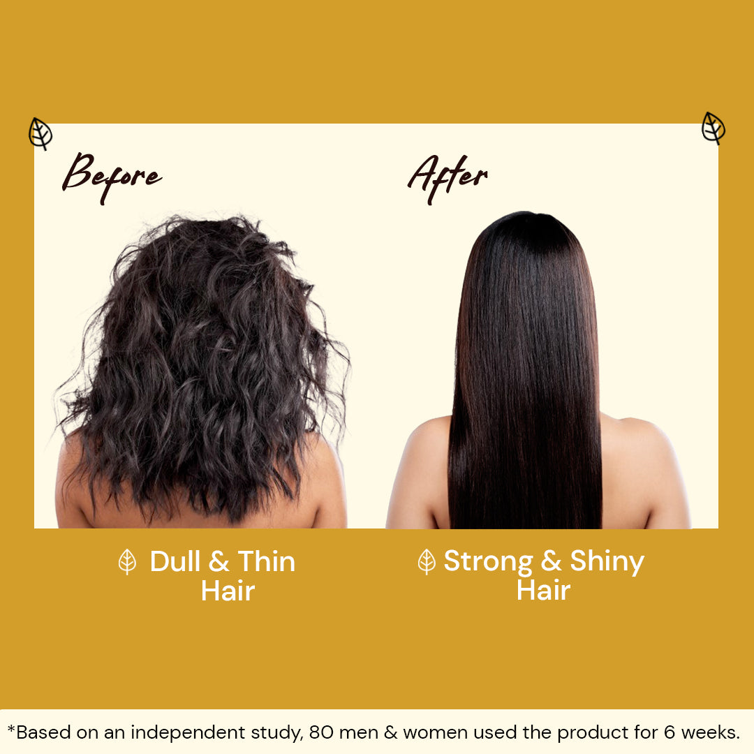 Atulya Keratin & Wheat Protein Hair Oil | Detangles and Protects Hair - 200ml