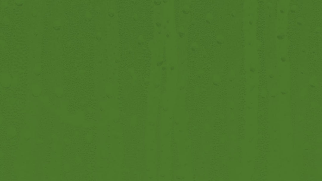 Atulya Aloe Vera Foaming Face Wash with Built-In Silicone Brush | Hydrates Skin - 150ml