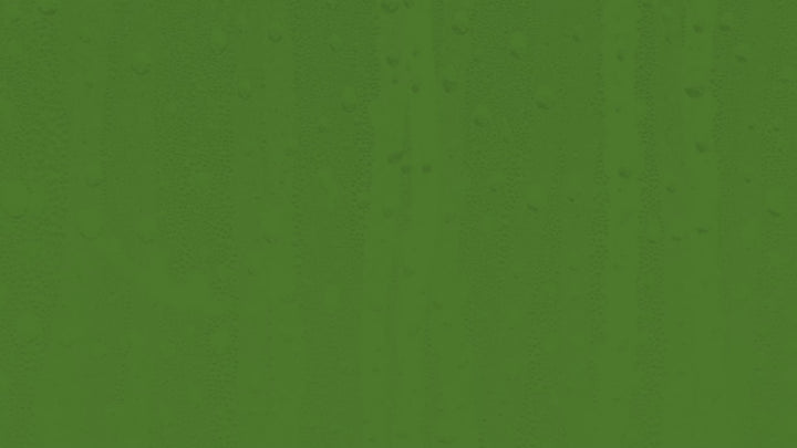 Atulya Aloe Vera Foaming Face Wash with Built-In Silicone Brush | Hydrates Skin - 150ml