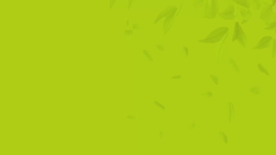 Atulya Matcha Tea Face Mask | Brightens Tone and Removes Blemishes - 200gm