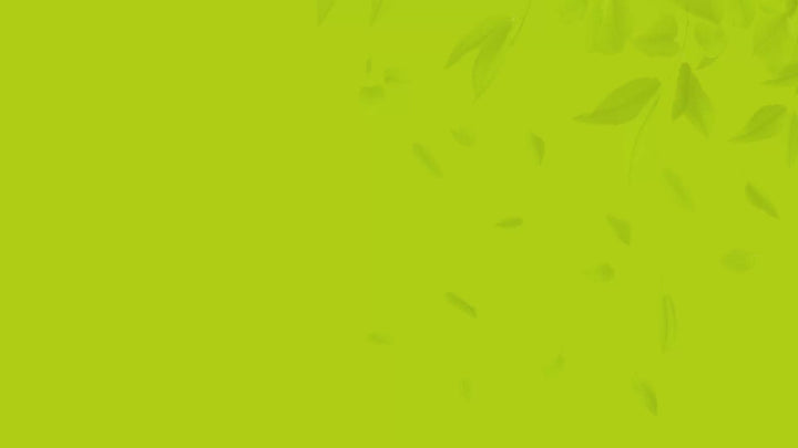 Atulya Matcha Tea Face Mask | Brightens Tone and Removes Blemishes - 200gm