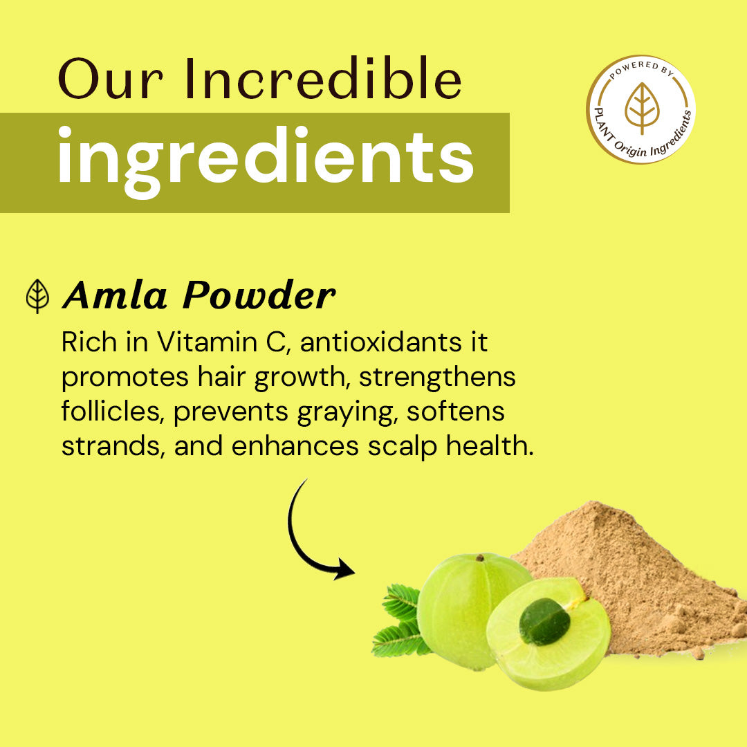 Atulya Amla Organic Powder | 100 % Pure & Natural - 100gm