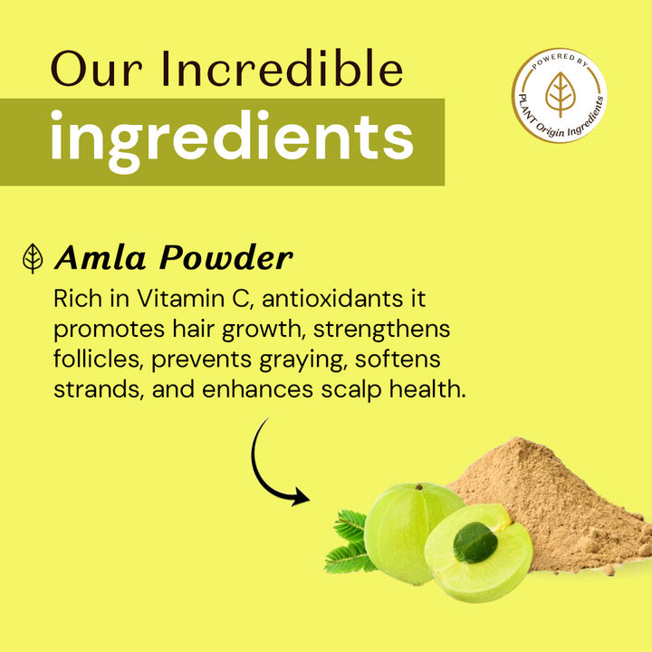 Atulya Amla Organic Powder | 100 % Pure & Natural - 100gm