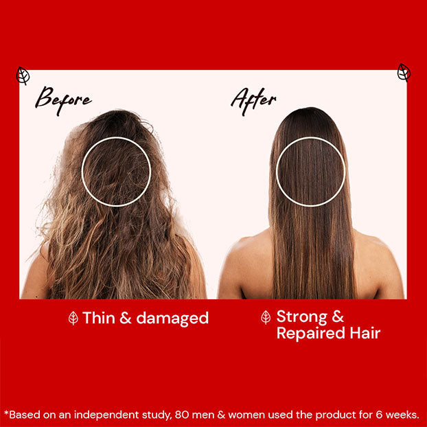 Atulya Hibiscus & Black Seed Shampoo Duo Combo for Strong Smooth Healthy Hair