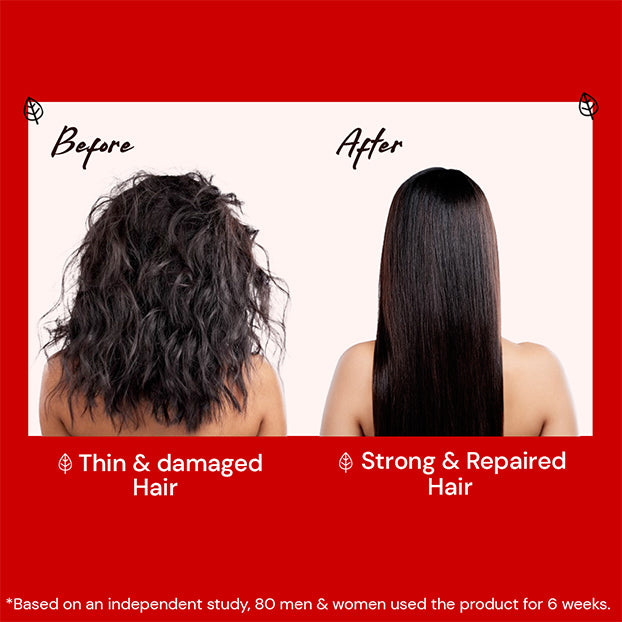 Atulya Hibiscus Organic Powder & Hibiscus Black Seed Hair Oil Combo for Nourished Healthy Hair