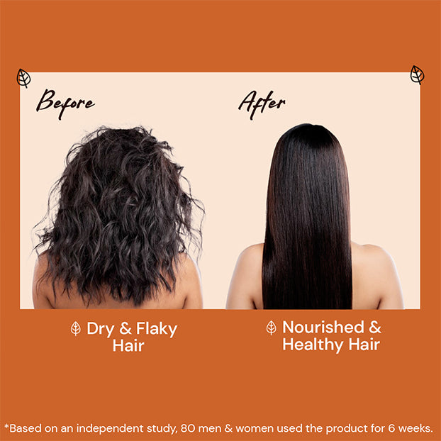 Atulya Moroccan Argan Oil Shampoo and Hair Oil Combo for Smooth Nourished Shiny Hair